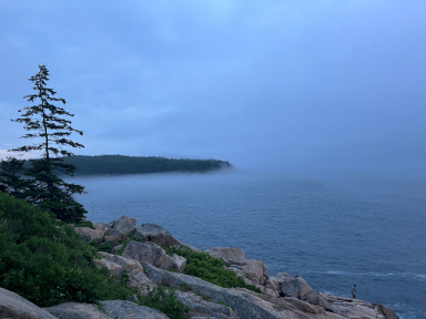 Otter Point, as seen
    from the rocks near Blackwoods Campground, fog rolling in