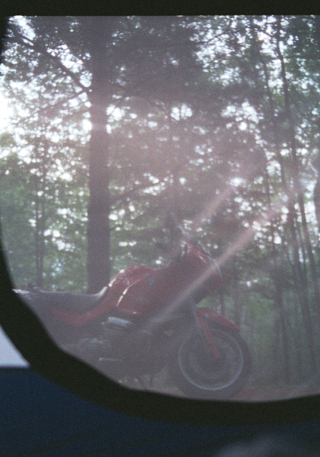 Camden Hills State Park, still in the tent shortly after sunrise
